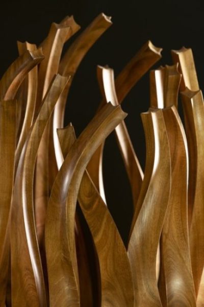 Neptun's Crown Neptune'Crown - haut de couronne