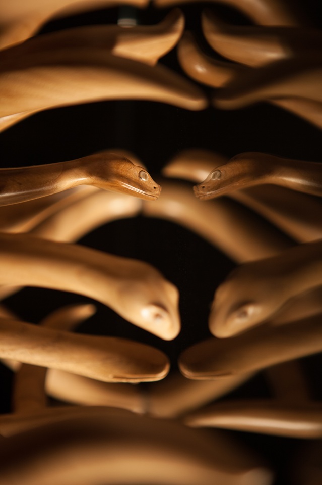 transition teteserpent