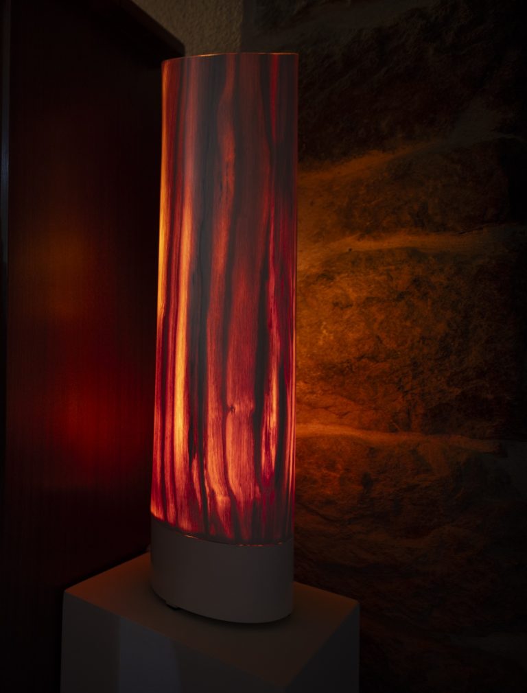 tree spirit piano page accueil min